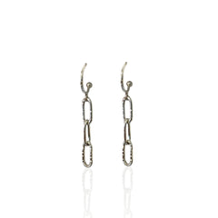 Pair of silver chain link earrings on a white background