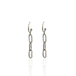 Pair of silver chain link earrings on a white background