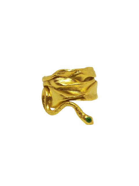 Chiton Guardian Ring - Athenart 